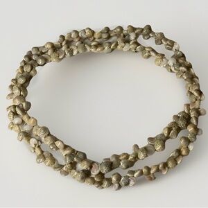 VTG 38" Light Color Small Sea Snail Shells Necklace
